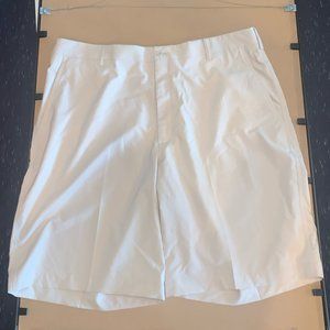 Nike Golf Men's Shorts (Beige-38)